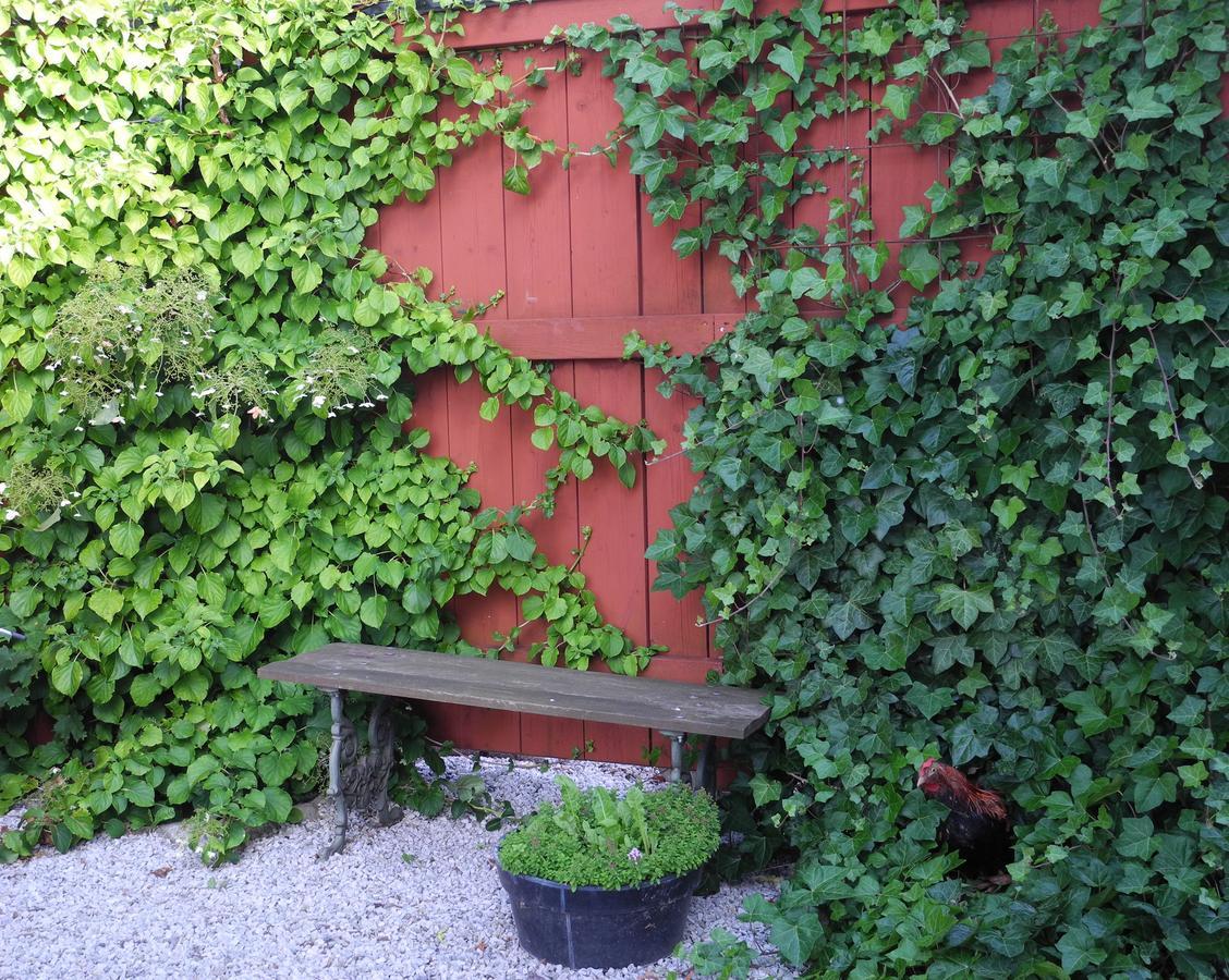 Villa Gina Oesterlen Sankt Olof 外观 照片