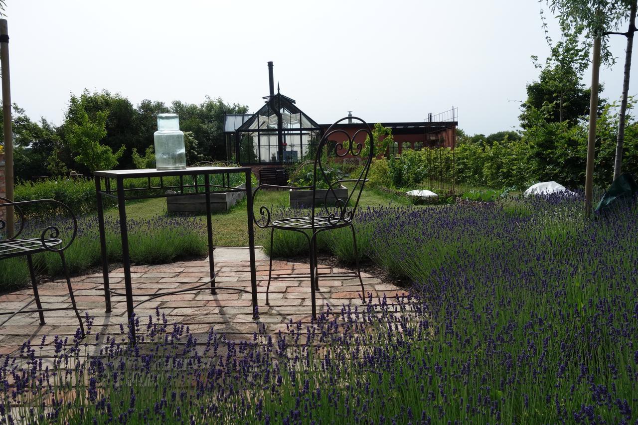 Villa Gina Oesterlen Sankt Olof 外观 照片